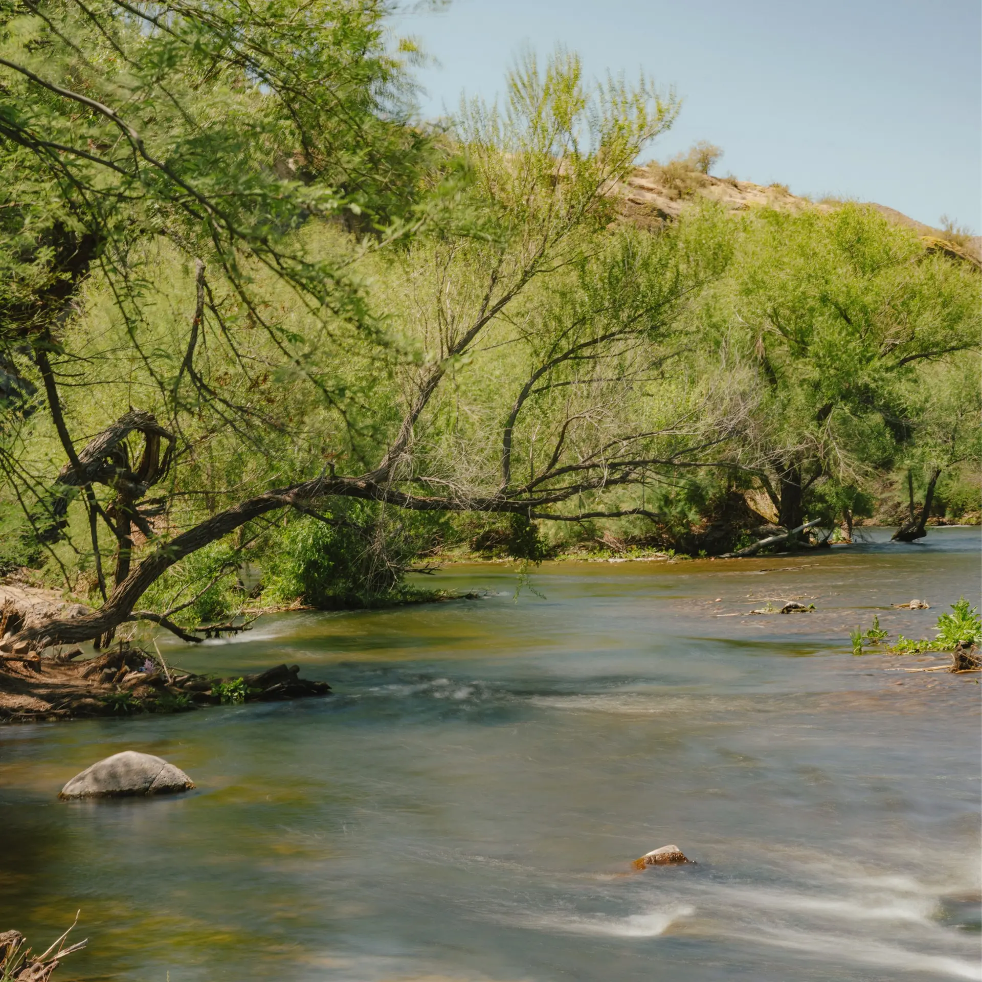 Moment 67mm Variable ND (2-7 Stop) & CineBloom 10 Filter - Image 6
